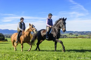 Reitbeteiligung – günstige Angebote an Reitbeteiligungen