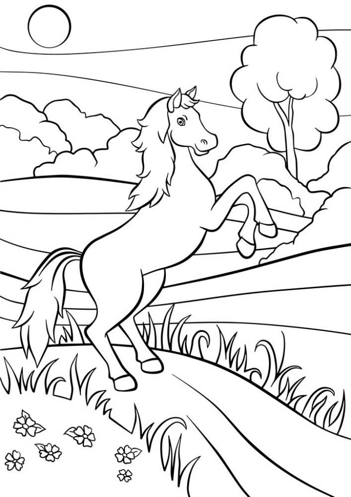 Malvorlage Pferd