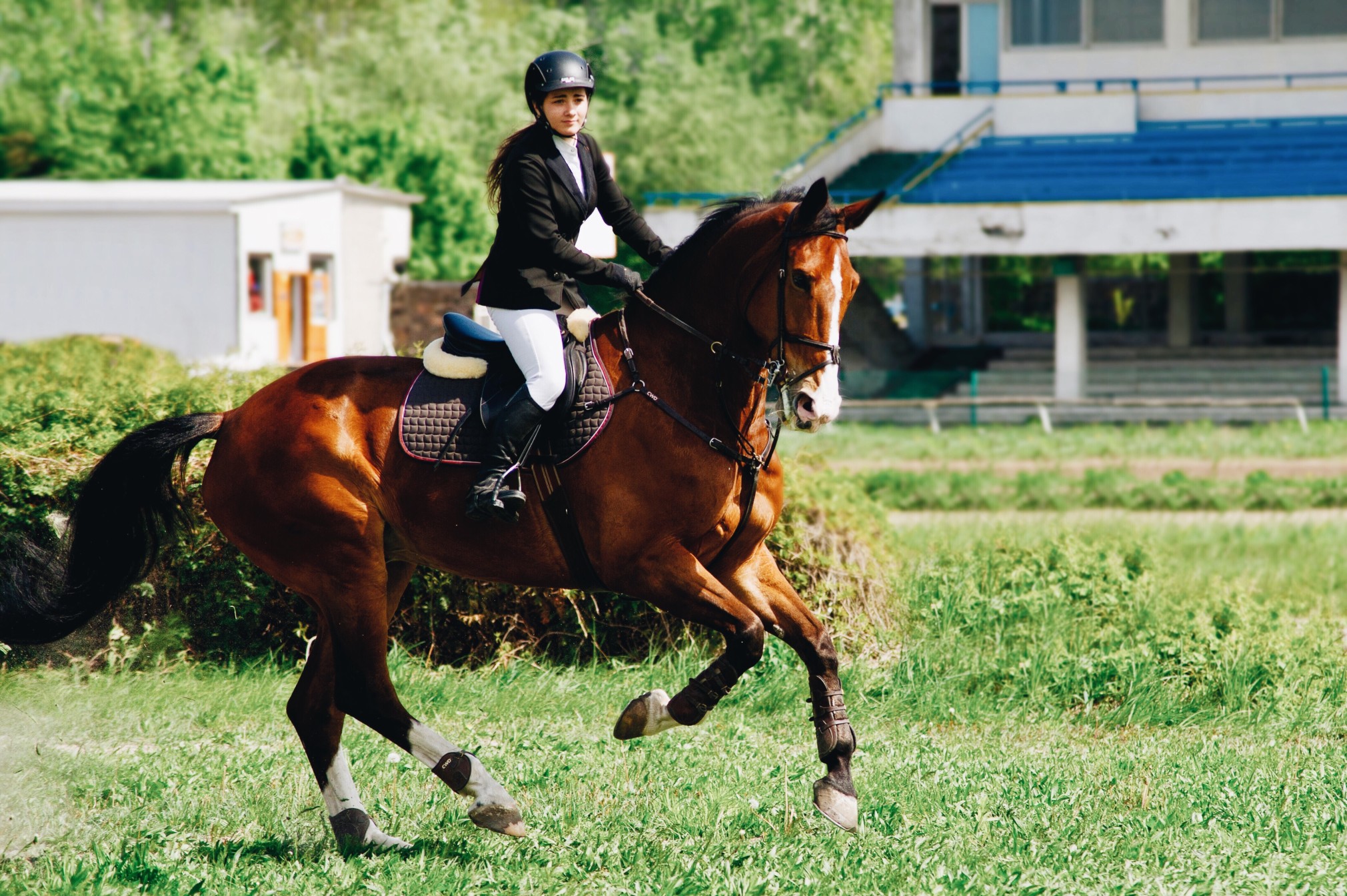 Reiten kann die Bildung von O-Beinen begünstigen. Foto lelia_milaya via Twenty20