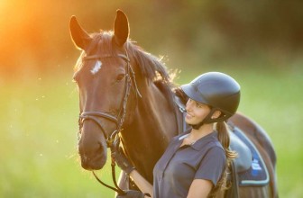Reitsportdisziplin Dressur