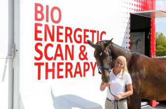 Innovative neue Therapie für Pferd und Reiter Was macht die EQUUSIR BEST Box?